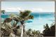 Moe's Home Collection Tropical Bay Wall Décor-0