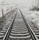 Crestview Collection Daily Path Gray Wall Art-1