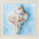 Stylecraft Coastal Calm IV Wall Art-0