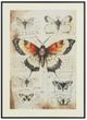 Signature Design by Ashley® Jossletts 3-Piece Black/Ivory/Orange Wall Art Set-4