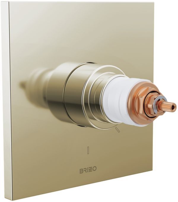 Brizo Frank Lloyd Wright® Brilliance® Polished Nickel TempAssure® Thermostatic Valve Trim - Less Handles-0