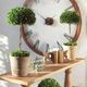 Uttermost® by Constance Lael-Linyard Tree Topiary Preserved Boxwood Foliage-1