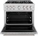 ZLINE Classic 36" Stainless Steel Pro Style Dual Fuel Range-1