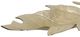 StyleCraft Champagne Gold Large Leaf Dish-1