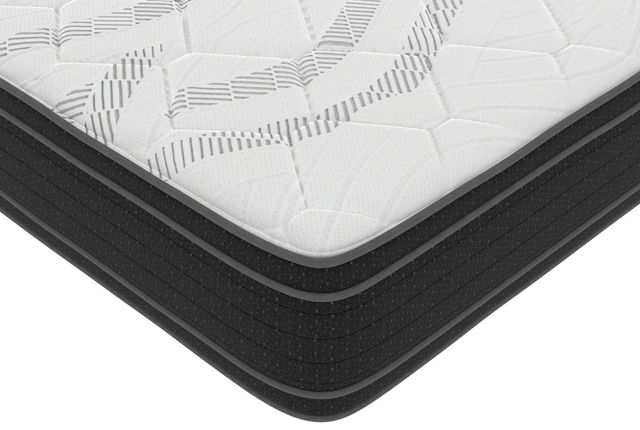 Symbol® Anton 12" Wrapped Coil Plush Euro Top Double-Sided Queen Mattress-1
