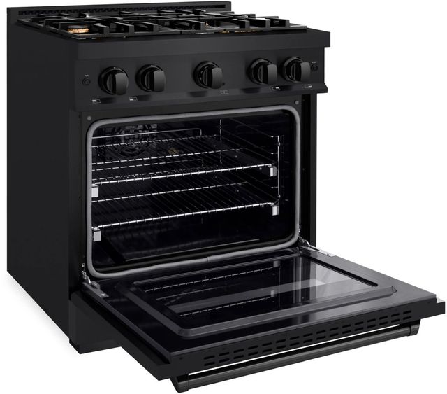ZLINE Classic 30" Black Stainless Steel Pro Style Dual Fuel Range-2