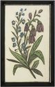 Stylecraft Vintage Floral II Wall Art-0