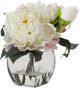 D&W Silks Cream Peonies 8.5"-0