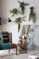 A & B Home Green Lepismium -1