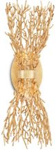 Currey & Company Aviva Stanoff Sea Fan Gold Gilt Wall Sconce-1