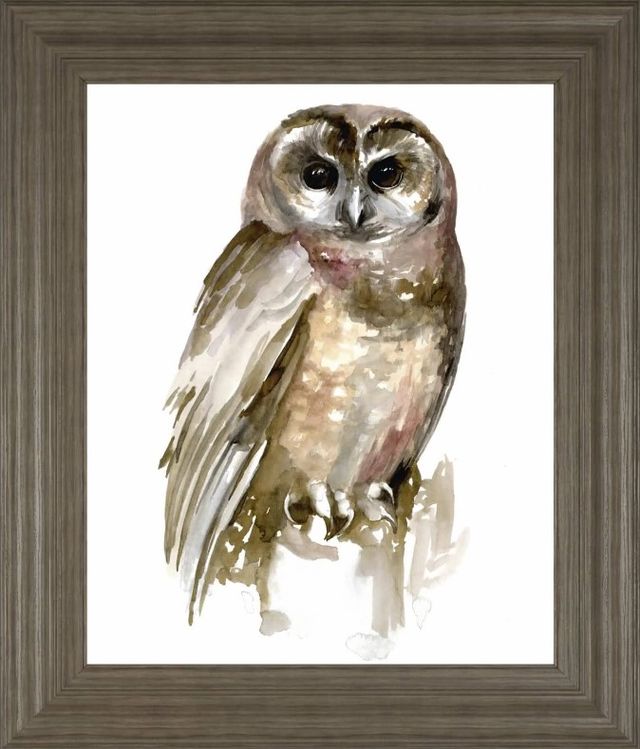 Classy Art Watercolor Owl II by Jennifer Paxton Parker Wall Art-0