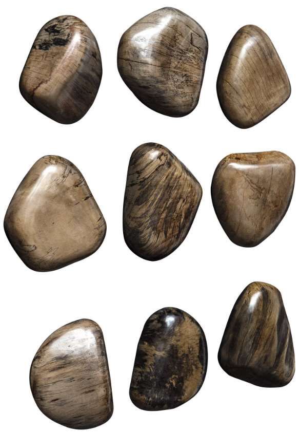 Uttermost® Pebbles 9-Piece Walnut Brown Wall Decor Set-2