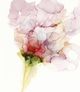 Classy Living Jennifer Goldberger Flower Passion I Wall Art-1