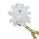 A & B Home Gold/White 8" Branch Decor-3