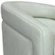 Armen Living Desi Mint Swivel Accent Chair-4