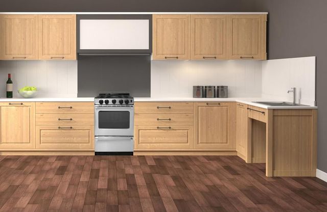 Premier Pro Series 20" Stainless Steel Freestanding Gas Range-1