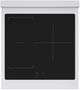 ZLINE Paramount 24" Stainless Steel Pro Style Induction Range-2