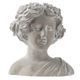 A & B Home Gray Goddess Bust Planter-0