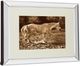 Classy Living Wendy Caro The Crossing Wall Art-3