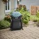 Weber® Q 2800N+ 2-Burner Sky Blue Tabletop Liquid Propane Gas Grill-1
