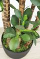 Le Present 31.5" Artificial Jade Green Plant-1