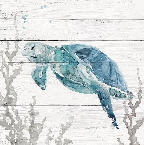 Classy Art Aqua Turtle II by Carol Robinson Wall Art-0