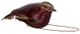 A & B Home Red Bird Decorative Object-0
