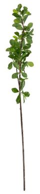 A & B Home Green Leaf Branch-1