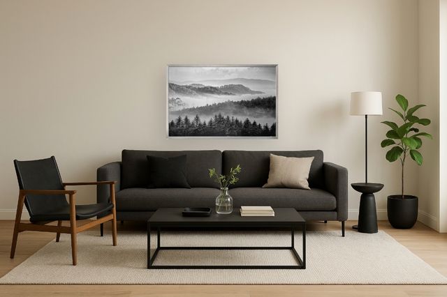 Classy Living Classic Black and White Misty Forest Wall Art-1
