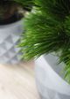 Le Present Green 22" Faux Botanical Pinus-5