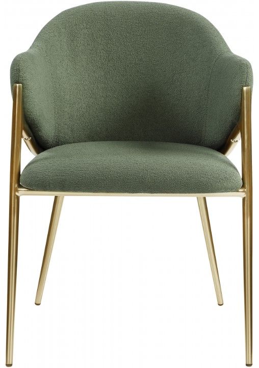 Meridian Furniture Nial Green/Brushed Brass Dining Chair-1