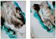 A & B Home 2-Piece Wall Art Set-1
