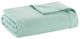 Olliix by Madison Park 100% Certified Egyptian Cotton Seafoam King Blanket-0