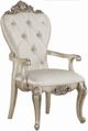 ACME Furniture Gorsedd 2-Piece Cream/Golden Ivory Arm Chair-0