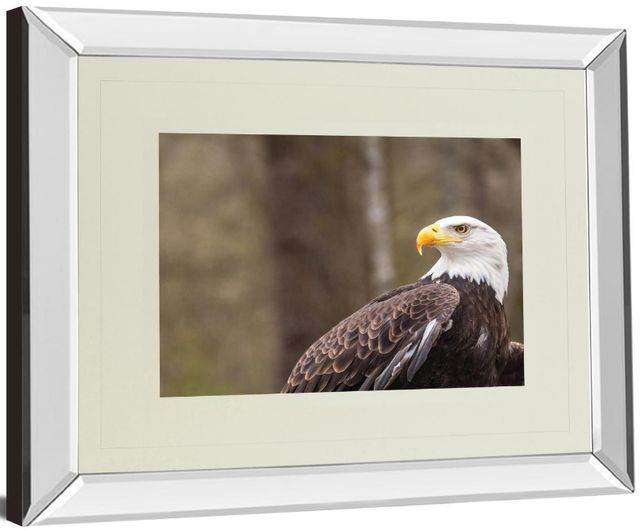Classy Living Garytog Majestic Eagle Wall Art-3