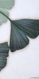 Stylecraft Norman Wyatt Swaying Ginkgo III Wall Art-1