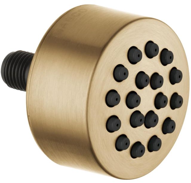 Delta HydraChoice® Champagne Bronze Body Spray and Spray Head-0