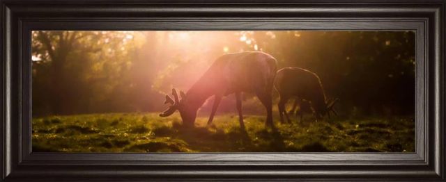 Classy Art Morning Haze by Joe Reynolds Wall Art-0