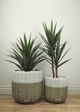 Le Present White and Greige 19" Basket Planter-5