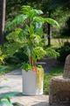 A & B Home White 22" Cylinder Cement Planter-5