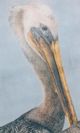 Stylecraft Long Beak Bird I Black/Light Blue/White/Yellow Wall Art-1