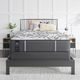 Sealy® Posturepedic® Spring Plus Exuberant II Hybrid Firm Tight Top California King Mattress-1