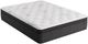 Diamond Mattress® Dreamstage 2.0 Gilded 14" Wrapped Coil Medium Tight Top Twin XL Mattress in a Box-0