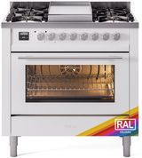 Custom RAL Color