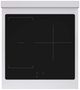 ZLINE Paramount 24" Satin Stainless Steel Pro Style Induction Range-2