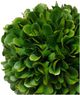 A & B Home Green Artificial Boxwood Topiary Ball-1