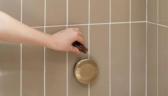 Delta SteamScape™ Classic System Lumicoat® Champagne Bronze Round Steam Package-3