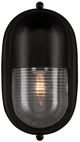 Currey & Company Maritime Black/Clear Outdoor Wall Sconce-2