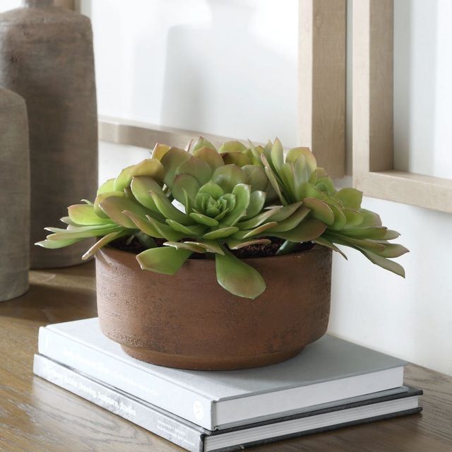Uttermost® Sable Orchid Green/Terracotta Succulent Accent in Pot-1