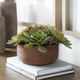 Uttermost® Sable Orchid Green/Terracotta Succulent Accent in Pot-1